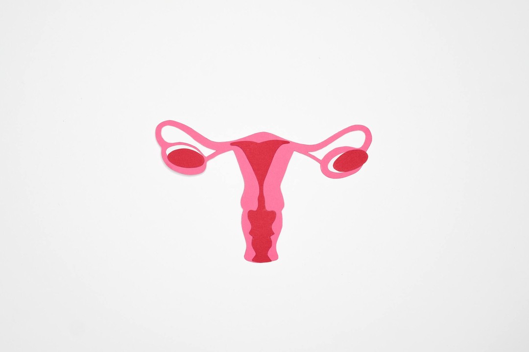 Alimentación y ciclo menstrual