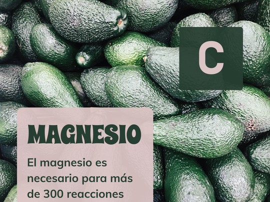 Magnesio