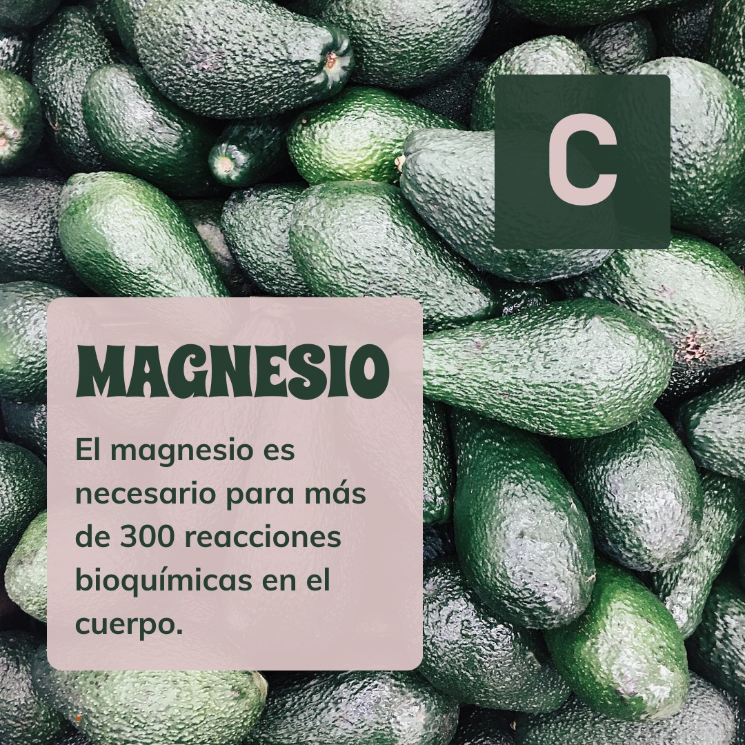 Magnesio