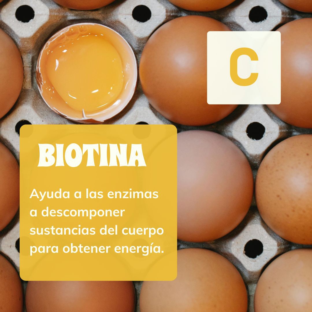 Biotina