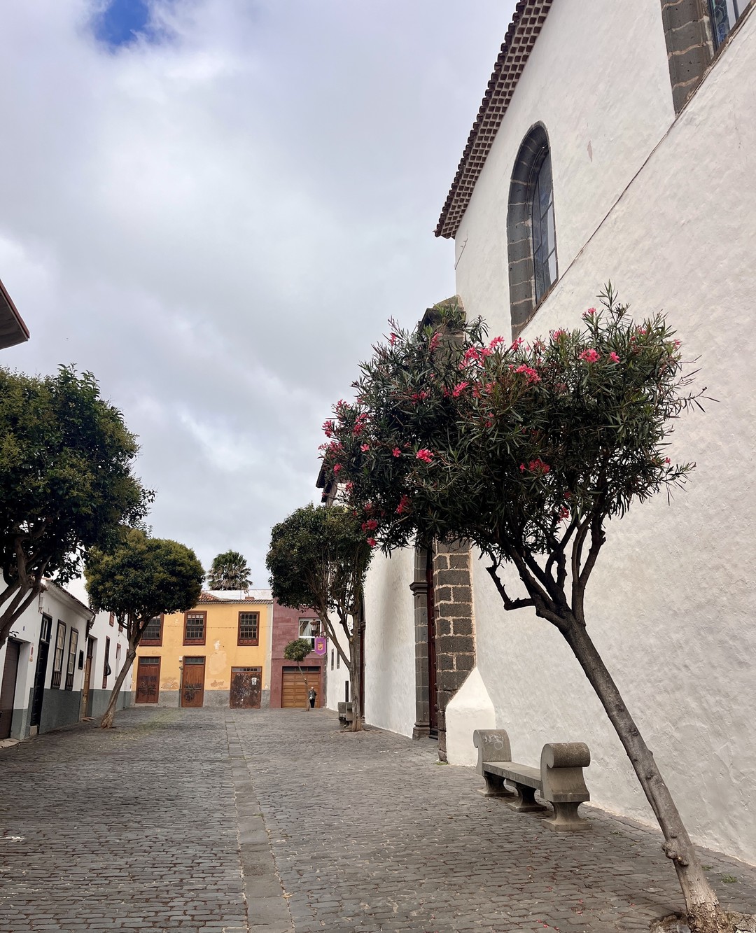 LA LAGUNA