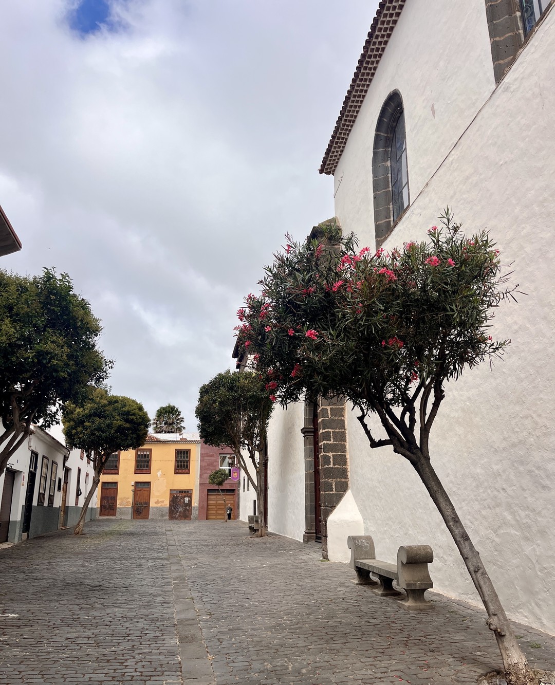 LA LAGUNA