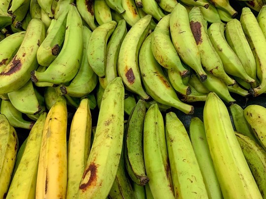 “Afectan la dieta boricua” las nuevas guías alimentarias de Estados Unidos