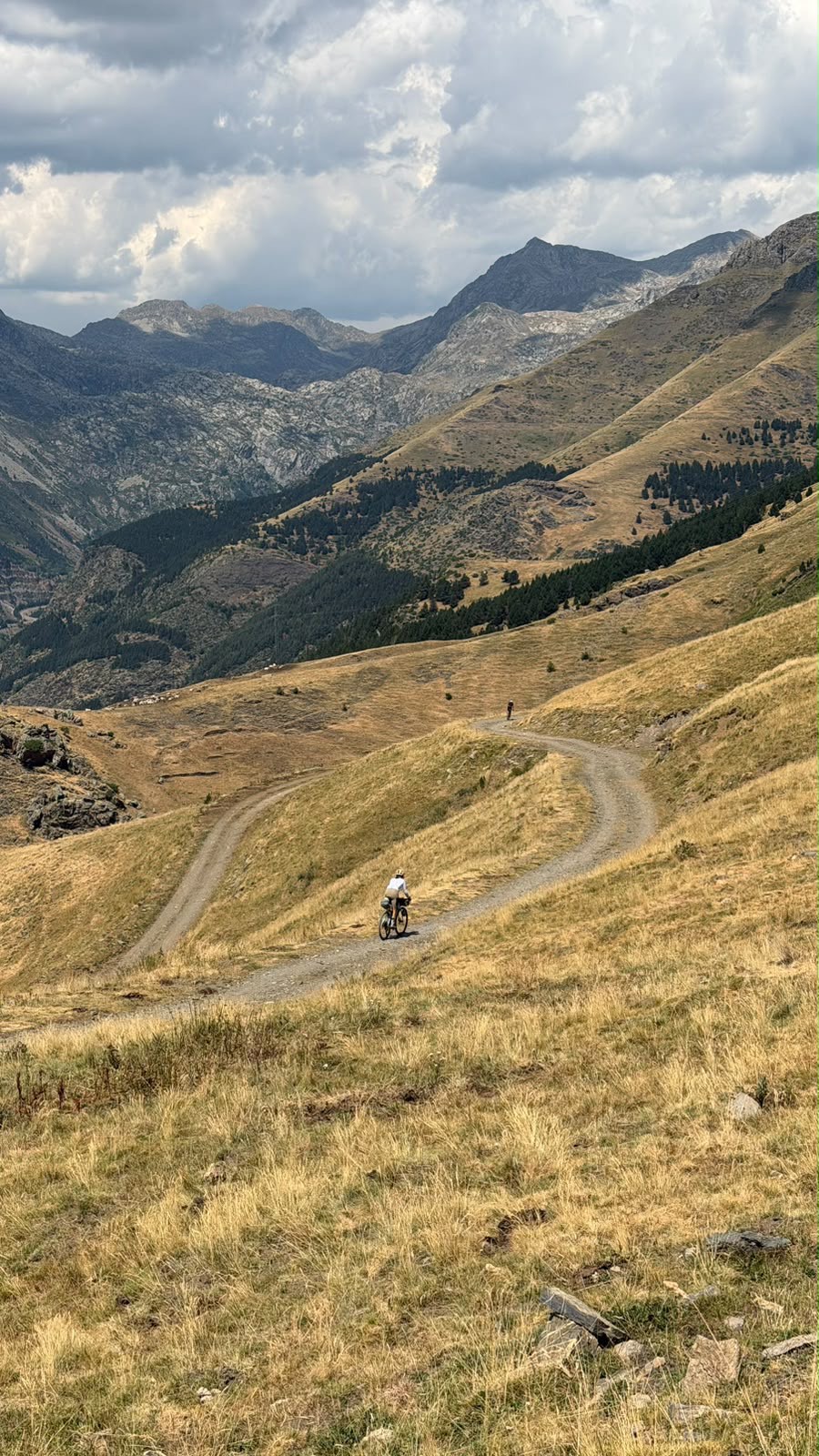 Alta montaña