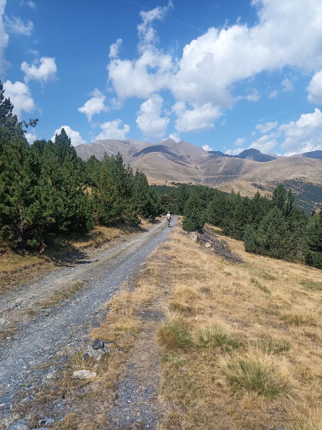 Paisaje2