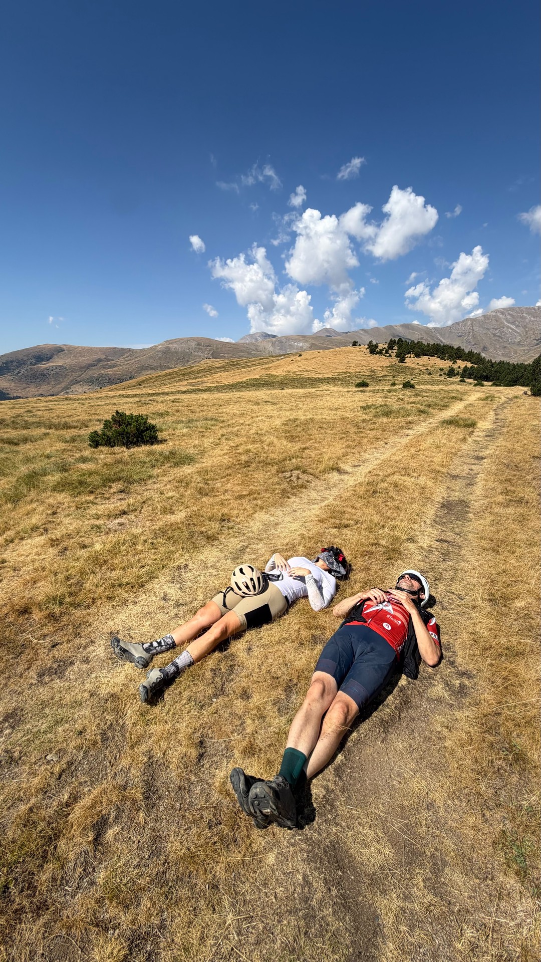 Siesta