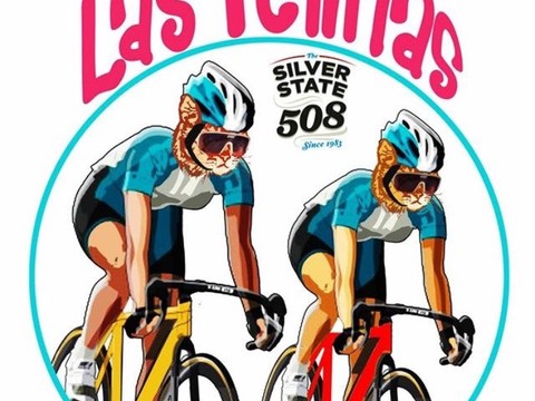 Las Felinas, a great friends' team along the epic race 508