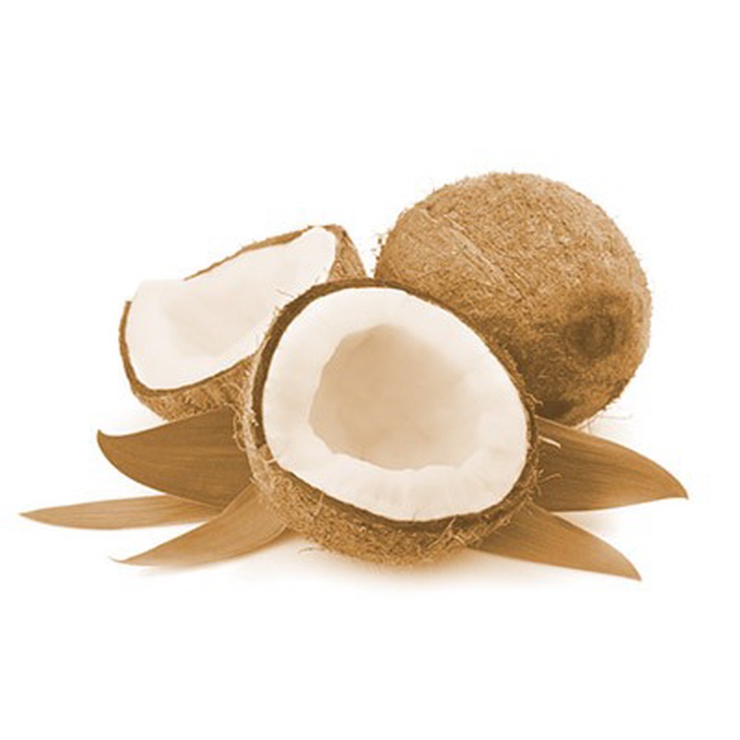 Coconut plan