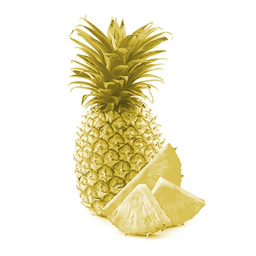 Plan Piña