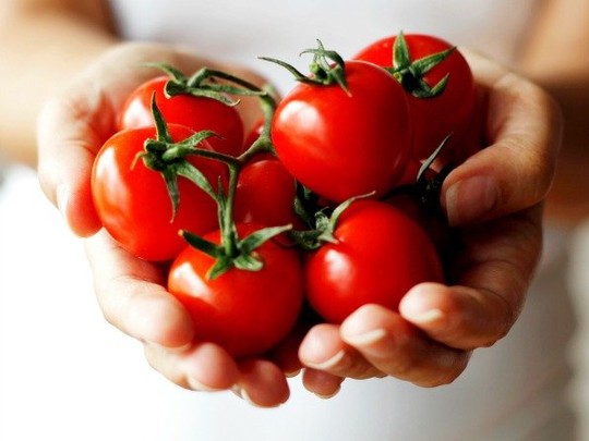 ¡A comer tomates!