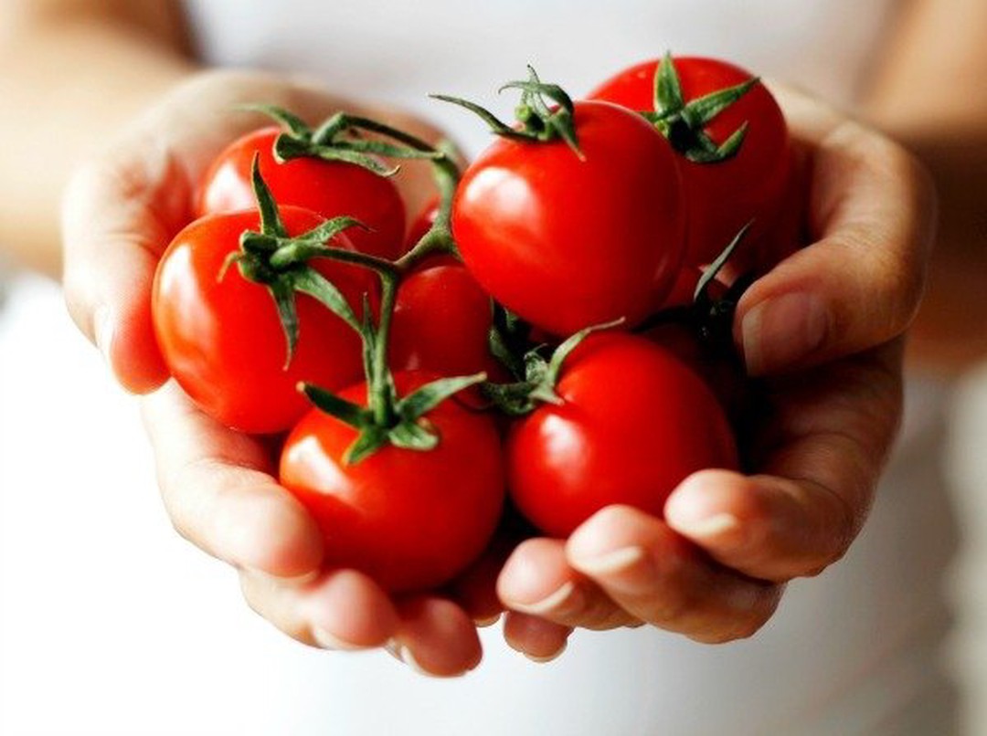 ¡A comer tomates!