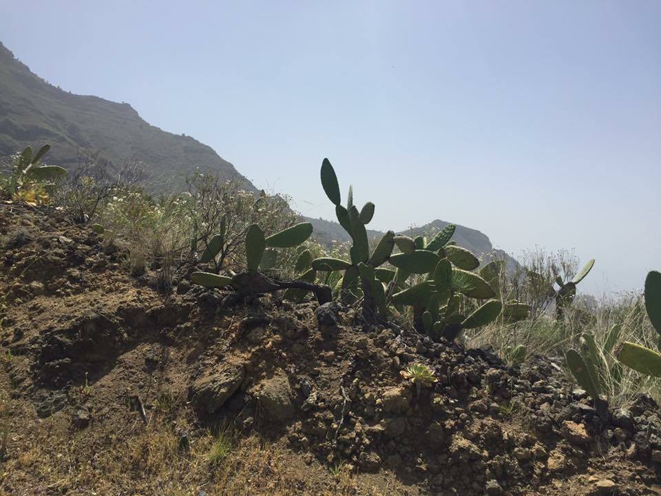 Tenerife al ritmo de mis pedales