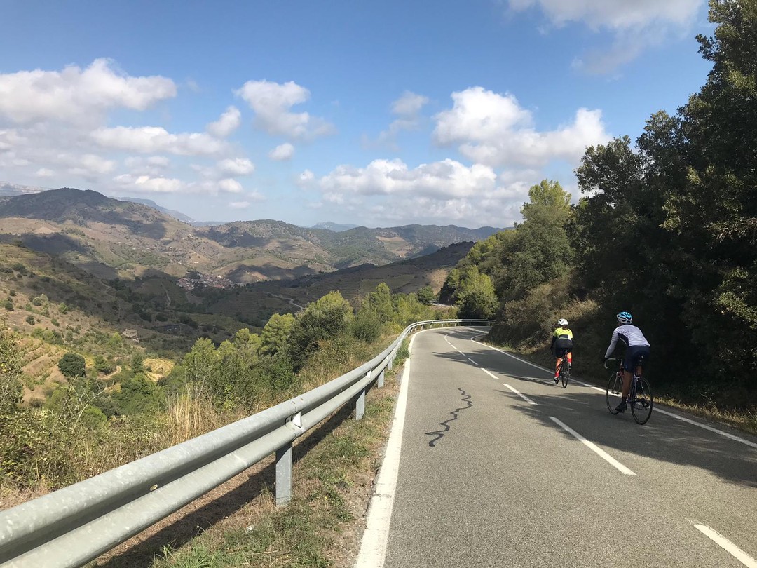 Cicloturismo en tierra de vinos