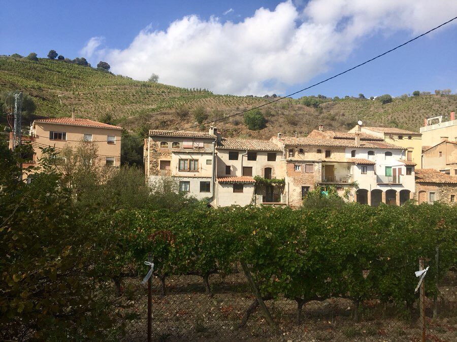 Cicloturismo en tierra de vinos