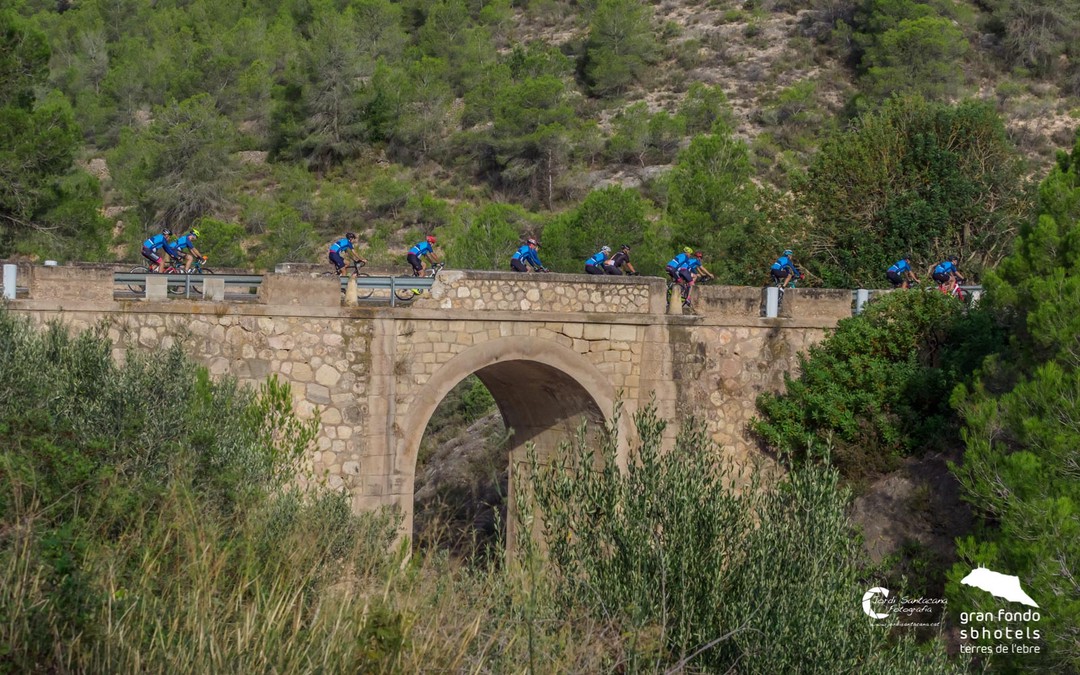 Cicloturismo en tierra de vinos