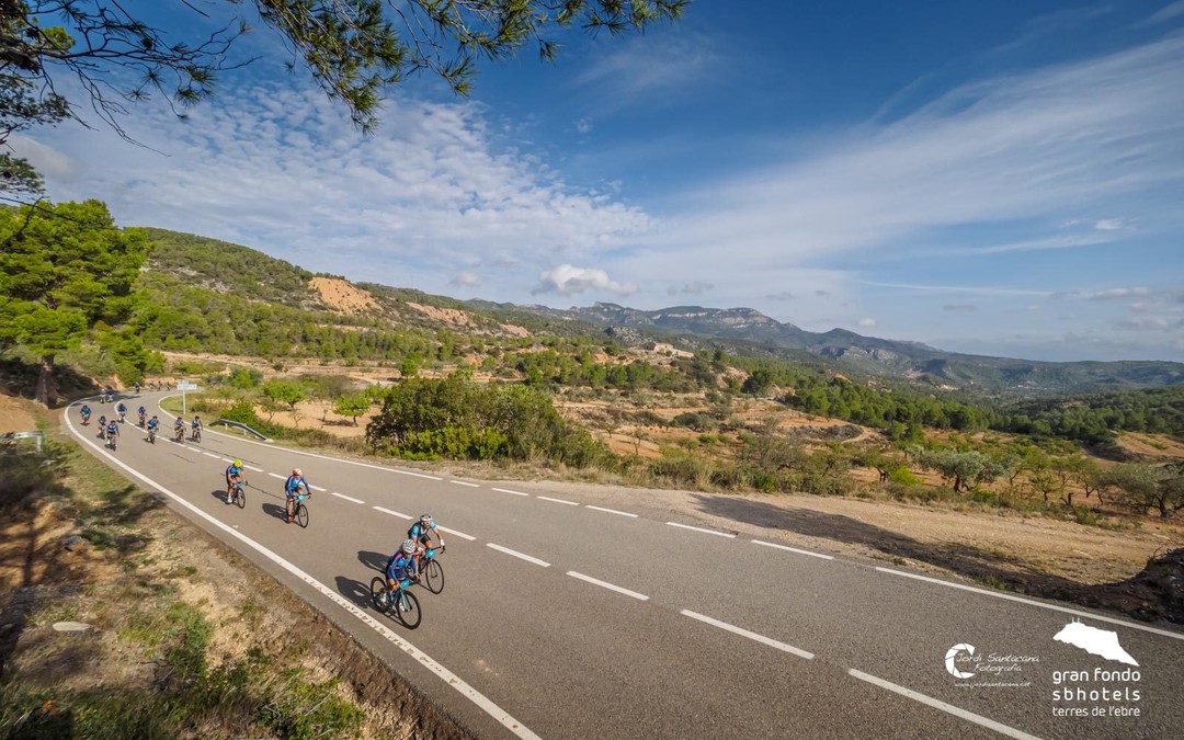 Cicloturismo en tierra de vinos