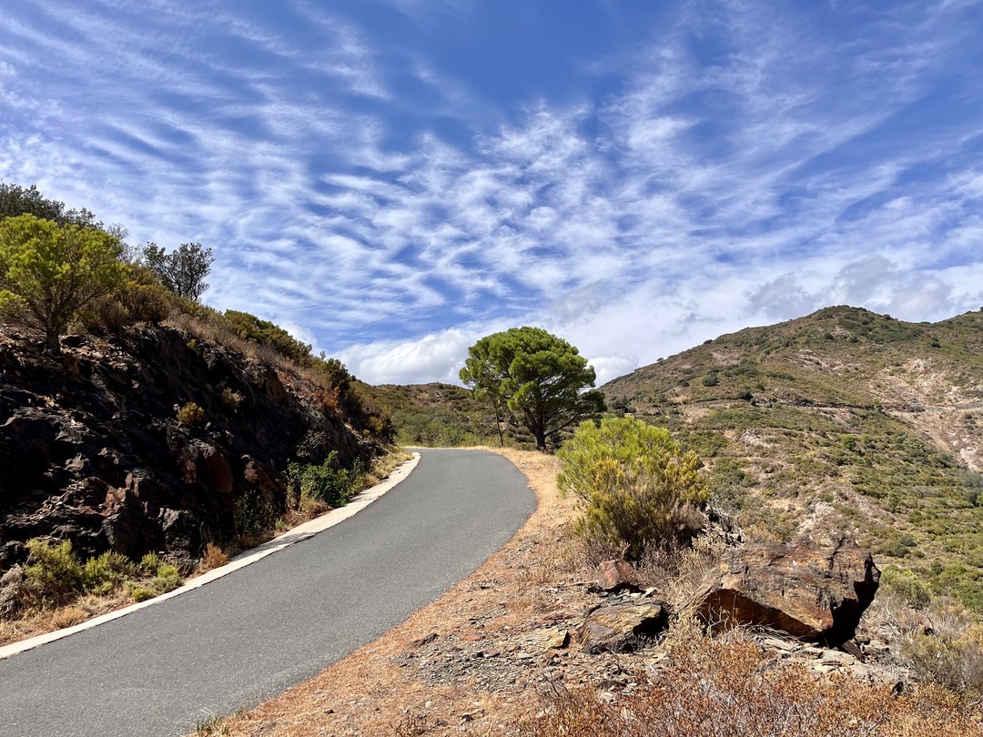 ¿Algún ciclista por aquí que esté cansado de comer barritas dulces durante la ruta?